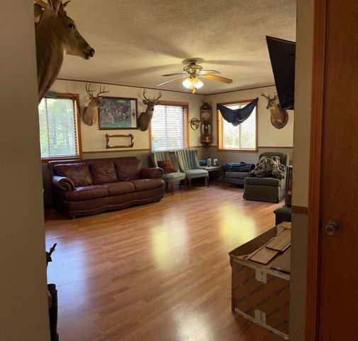 2670 Bass Lake Street, Lupton, MI 48635