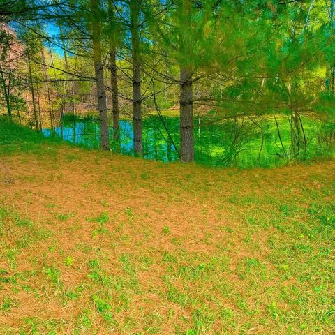 2670 Bass Lake Street, Lupton, MI 48635