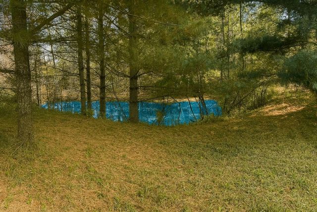 2670 Bass Lake Street, Lupton, MI 48635