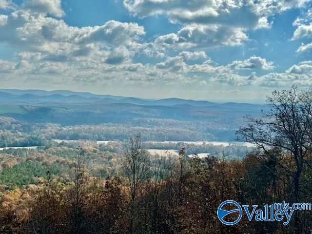 2345 County Road 865, Gaylesville, AL 35973