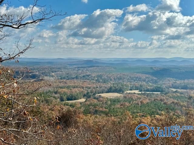 2345 County Road 865, Gaylesville, AL 35973