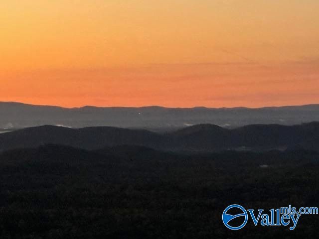 2345 County Road 865, Gaylesville, AL 35973