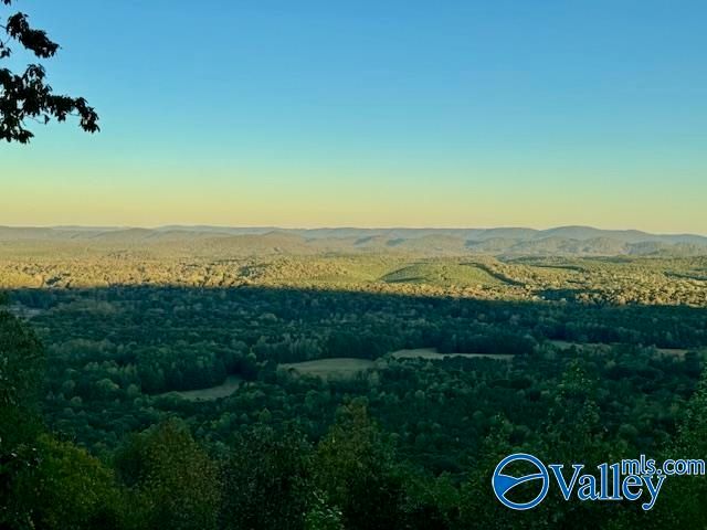 2345 County Road 865, Gaylesville, AL 35973