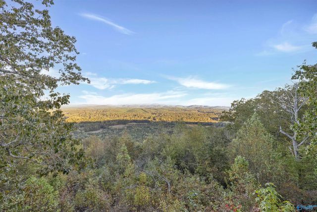 2345 County Road 865, Gaylesville, AL 35973