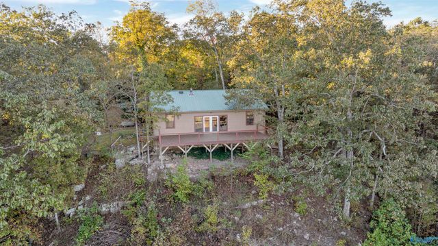 2345 County Road 865, Gaylesville, AL 35973