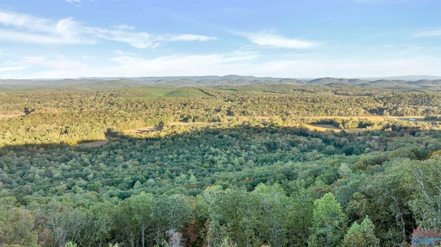 2345 County Road 865, Gaylesville, AL 35973