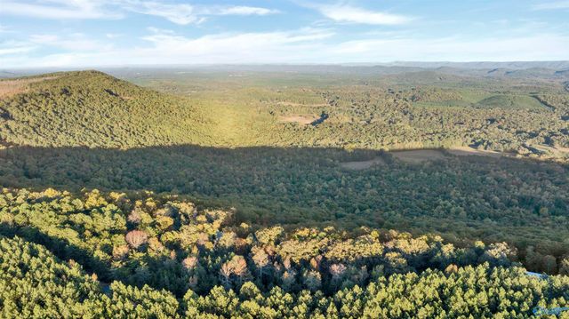 2345 County Road 865, Gaylesville, AL 35973