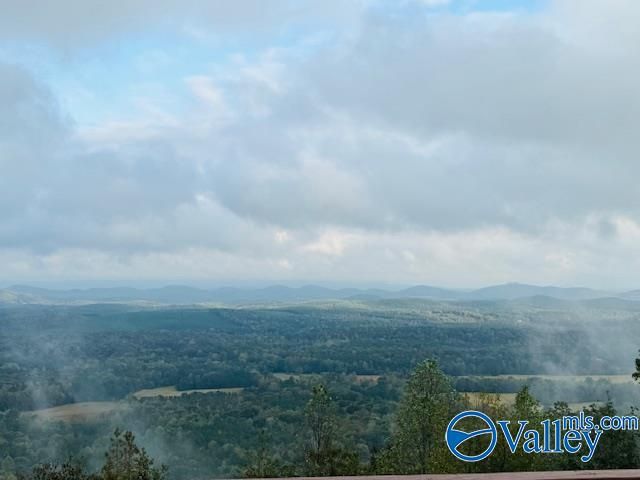 2345 County Road 865, Gaylesville, AL 35973