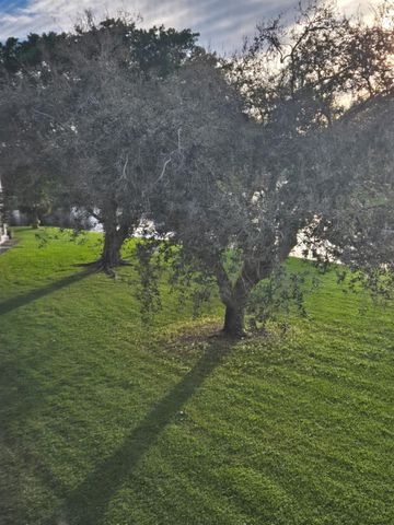 3011 Westbury F 3011, Deerfield Beach, FL 33442