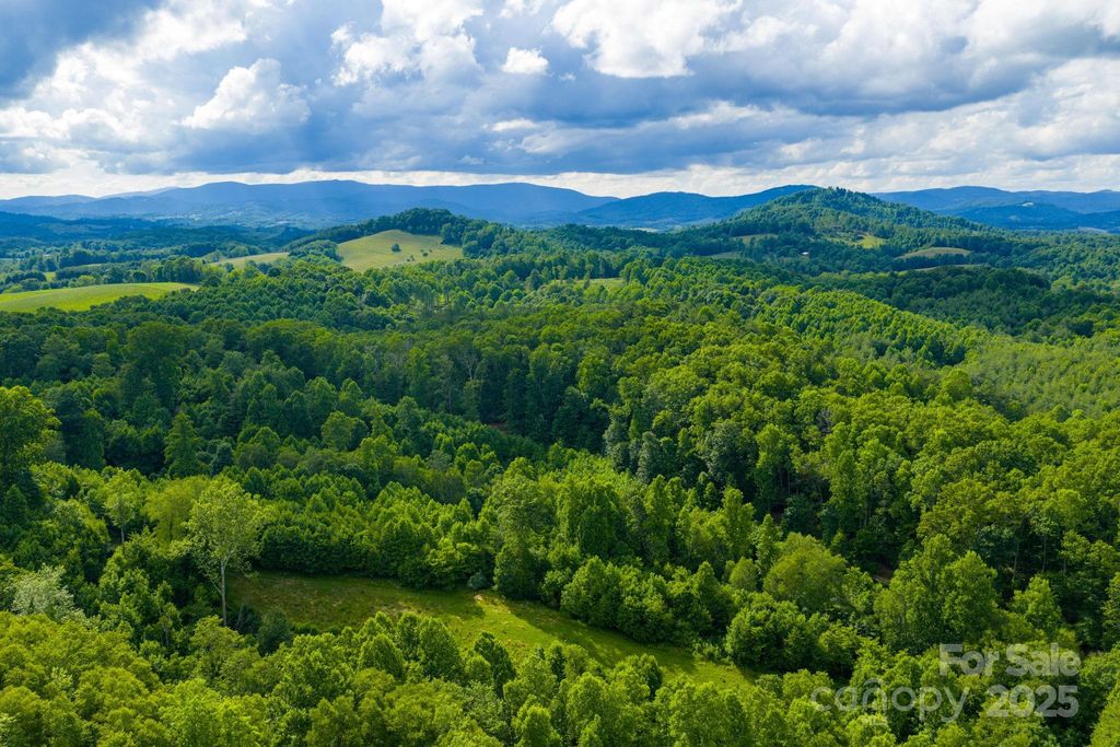 TBD Phipps Dairy Road, Piney Creek, NC 28663