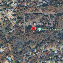 TBD Briarwood, Lake Dallas, TX 75065