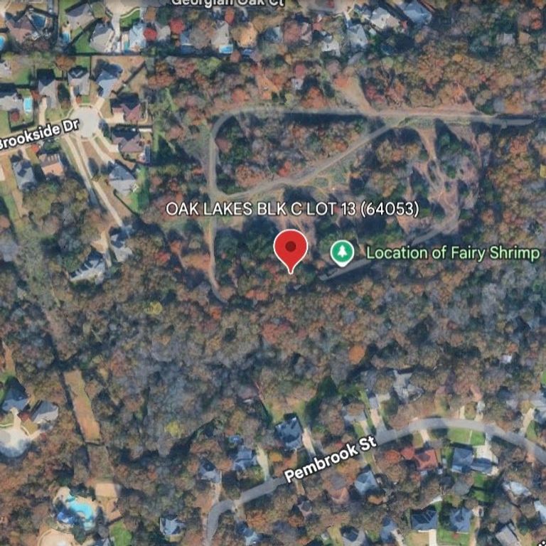 TBD Briarwood, Lake Dallas, TX 75065