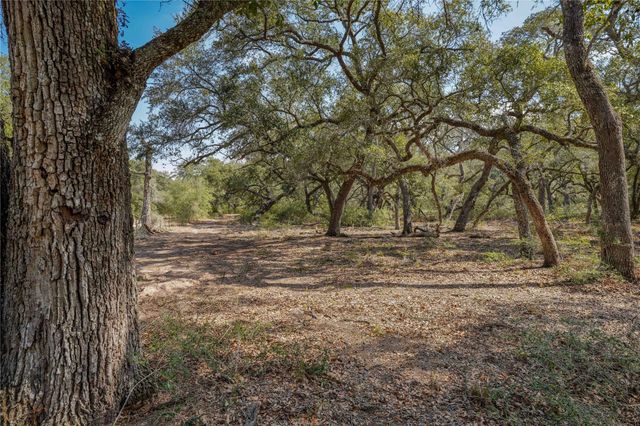 TBD Cr 397, Louise, TX 77455