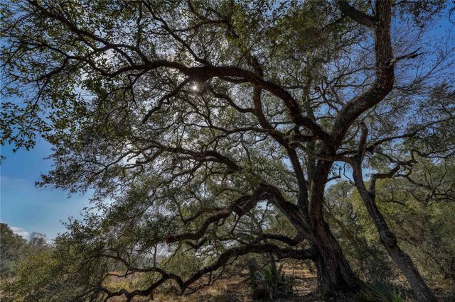 TBD Cr 397, Louise, TX 77455