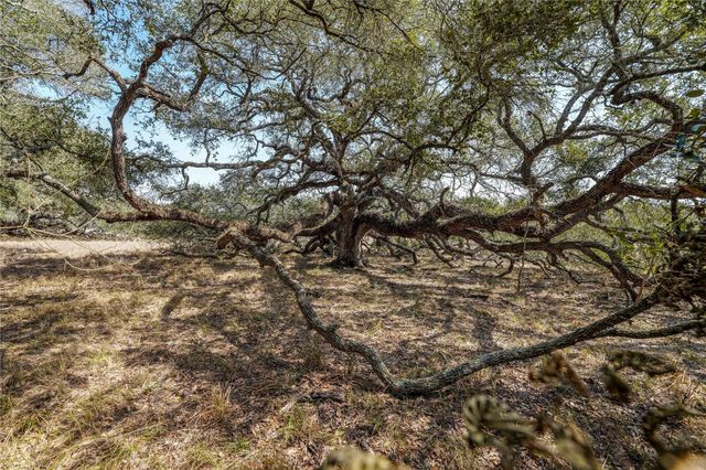 TBD Cr 397, Louise, TX 77455