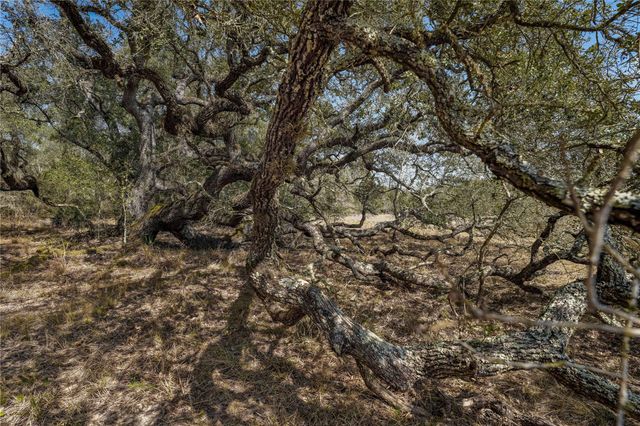 TBD Cr 397, Louise, TX 77455