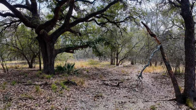 TBD Cr 397, Louise, TX 77455