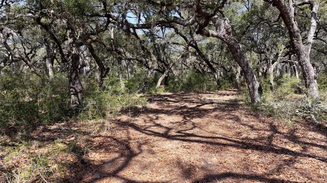 TBD Cr 397, Louise, TX 77455