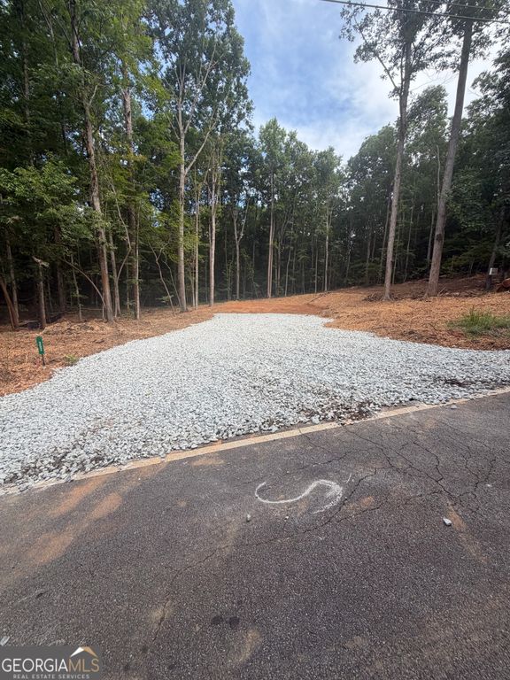 352 Lake Harbor Trail, Martin, GA 30557 — photo 4