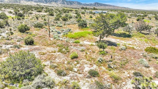 209 Highway 138, Pinon Hills, CA 92372