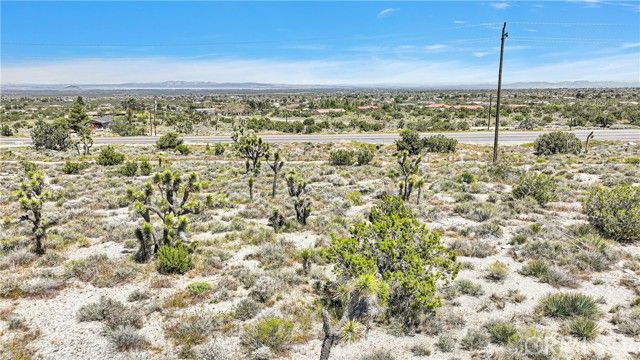 209 Highway 138, Pinon Hills, CA 92372