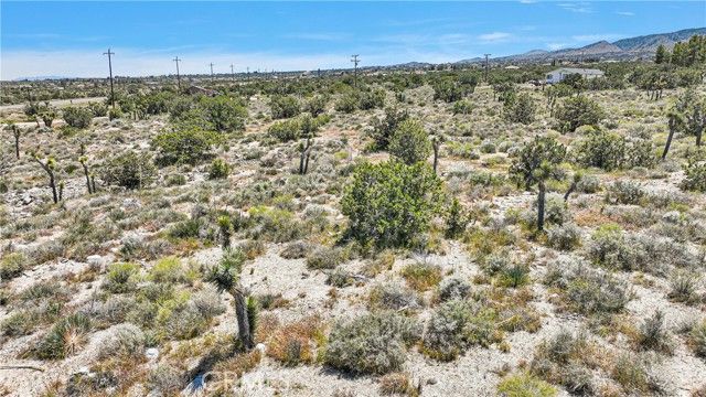 209 Highway 138, Pinon Hills, CA 92372