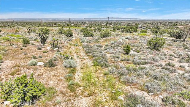 209 Highway 138, Pinon Hills, CA 92372