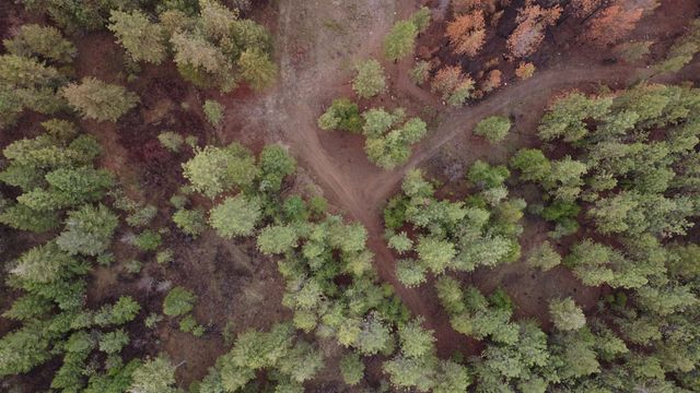 Xxx Coyote Ridge Ln, Ford, WA 99013