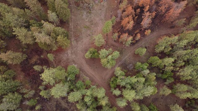 Xxx Coyote Ridge Ln, Ford, WA 99013
