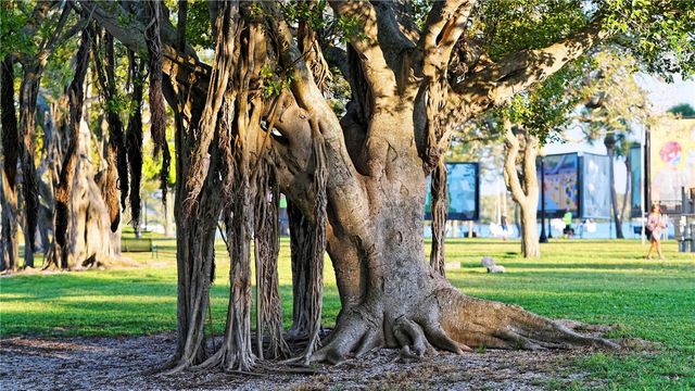 211 COSMOPOLITAN COURT 211, Sarasota, FL 34236