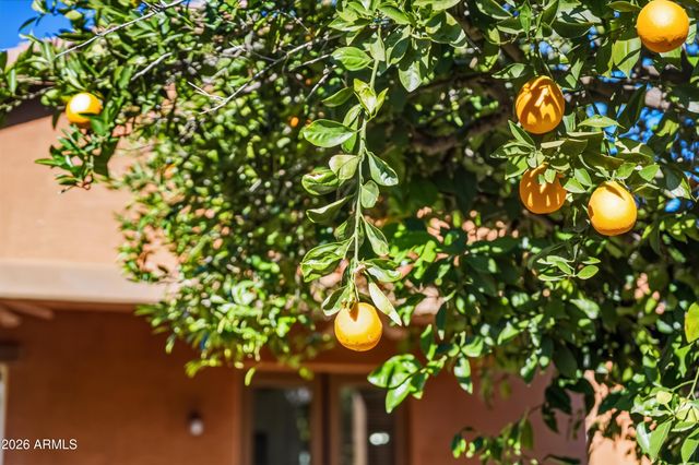 3739 E Enrose Street, Mesa, AZ 85205