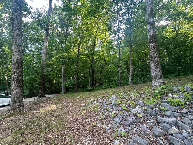 1150 Haynes Knob Road, Somerset, KY 42501