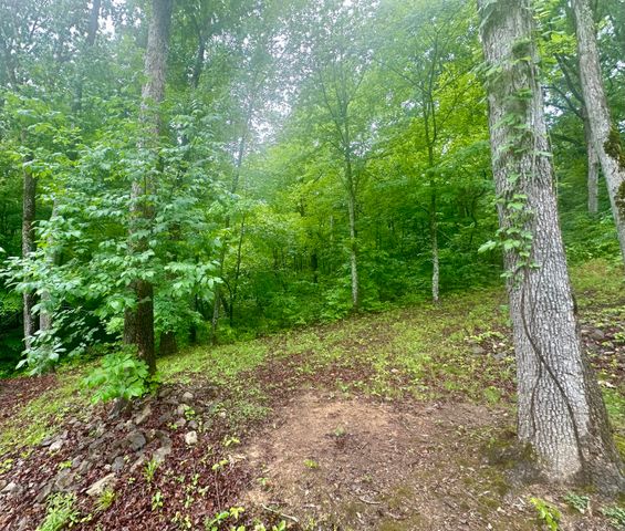 1150 Haynes Knob Road, Somerset, KY 42501