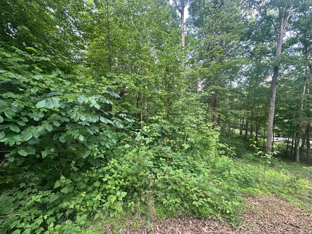 1150 Haynes Knob Road, Somerset, KY 42501