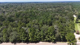 Lots A-1 & A-2 Stoney Point Burch Rd, Greenwell Springs, LA 70739