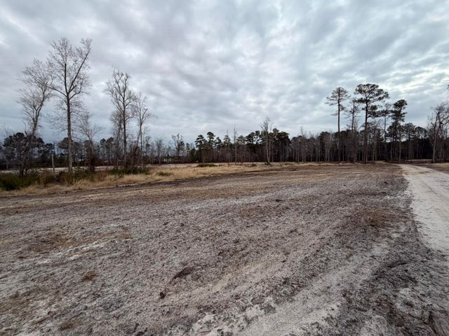 118 Nell Ct, Loris, SC 29569