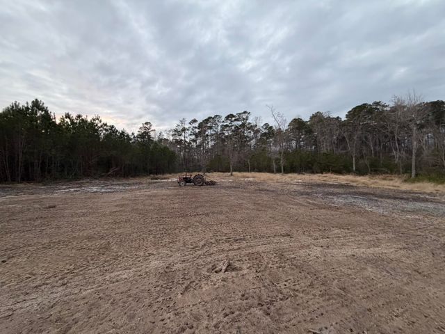 118 Nell Ct, Loris, SC 29569