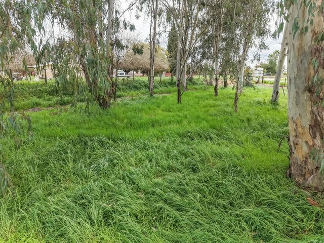 16036 S Del Rey Avenue, Kingsburg, CA 93631