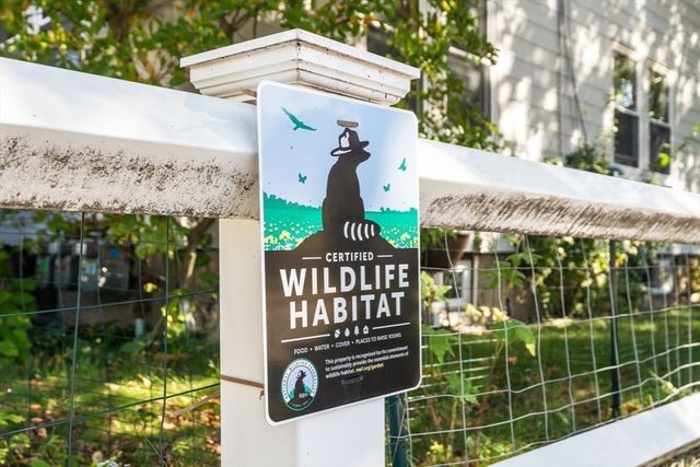 126 Harvey St 2, Cambridge, MA 02140