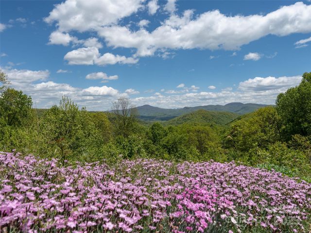 26 Fall Mountain Road 58, Asheville, NC 28803