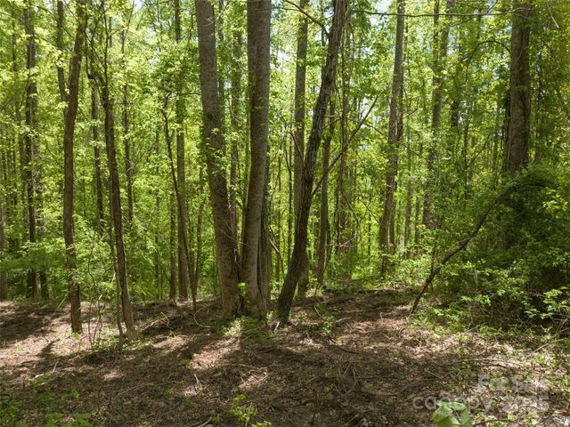 26 Fall Mountain Road 58, Asheville, NC 28803