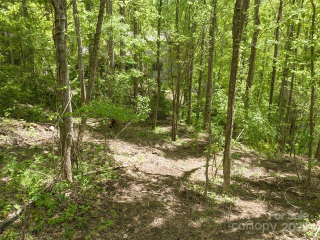 26 Fall Mountain Road 58, Asheville, NC 28803