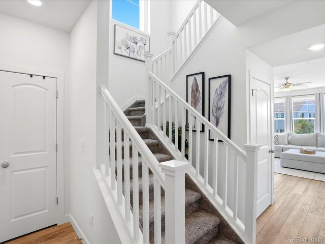 4069 Fortune Ln, Castle Rock, CO 80109