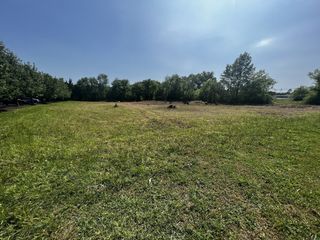 0 Colloredo blvd, Shelbyville, TN 37160