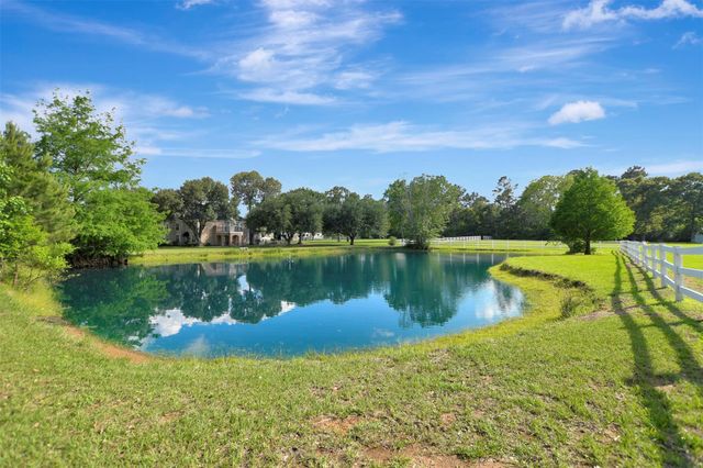 29545 Dobbin Huffsmith Road, Magnolia, TX 77354