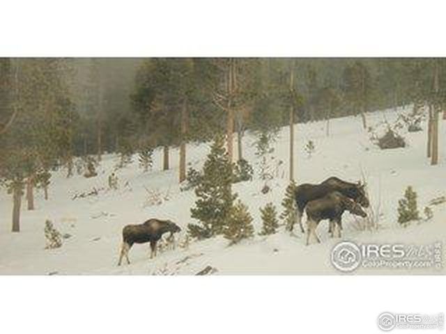 200 Kimwood Rd, Black Hawk, CO 80422