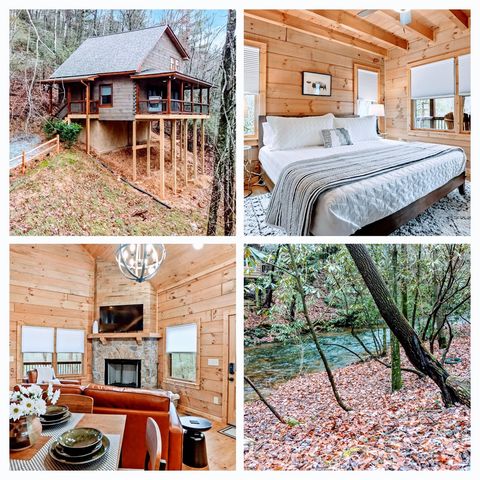 187 Cashes Valley Lane, Cherry Log, GA 30522
