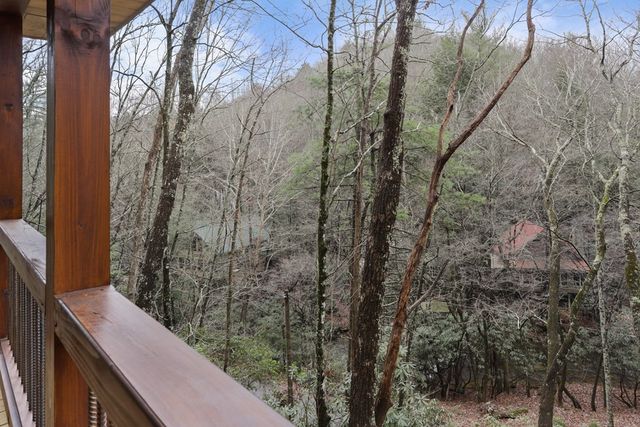 187 Cashes Valley Lane, Cherry Log, GA 30522