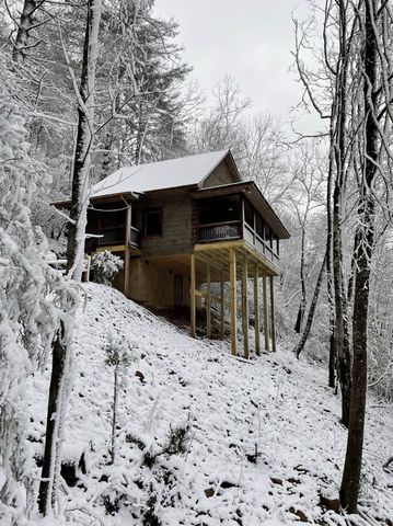 187 Cashes Valley Lane, Cherry Log, GA 30522
