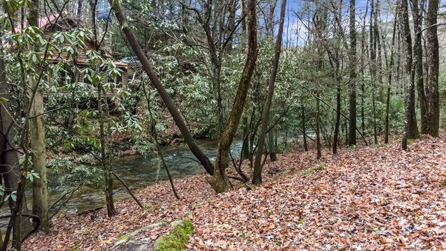 187 Cashes Valley Lane, Cherry Log, GA 30522